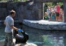 Rekordowy rok opolskiego zoo! Tłumy zwiedzających, nowe zwierzęta i inwestycje