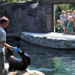 Rekordowy rok opolskiego zoo! Tłumy zwiedzających, nowe zwierzęta i inwestycje